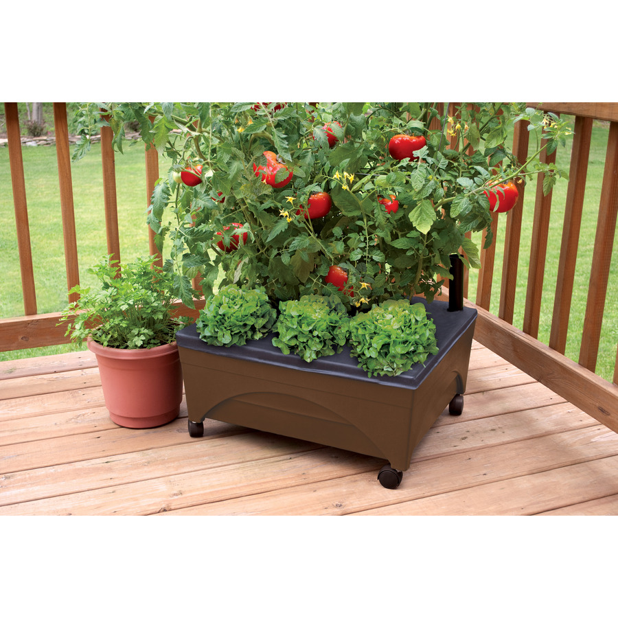 Emsco Group 24"x20" Resin Raised Garden Bed w/ Casters ...