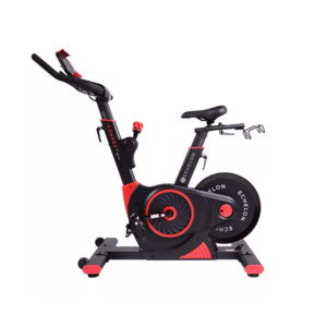 Big lots sale exercise bike