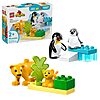Lego Duplo Town Wild Animal Families: Penguins &amp;amp; Lions Building Toy Playset  $6.79 + Free Shipping w/ Prime or on $35+