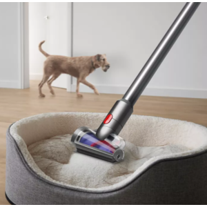 Bed bath and beyond hot sale dyson vacuum