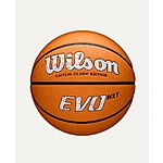 Wilson Caitlin Clark EVO NXT Game Basketball - Size 6 $74.97