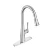 American Standard Southport kitchen faucet YMMV $42.22