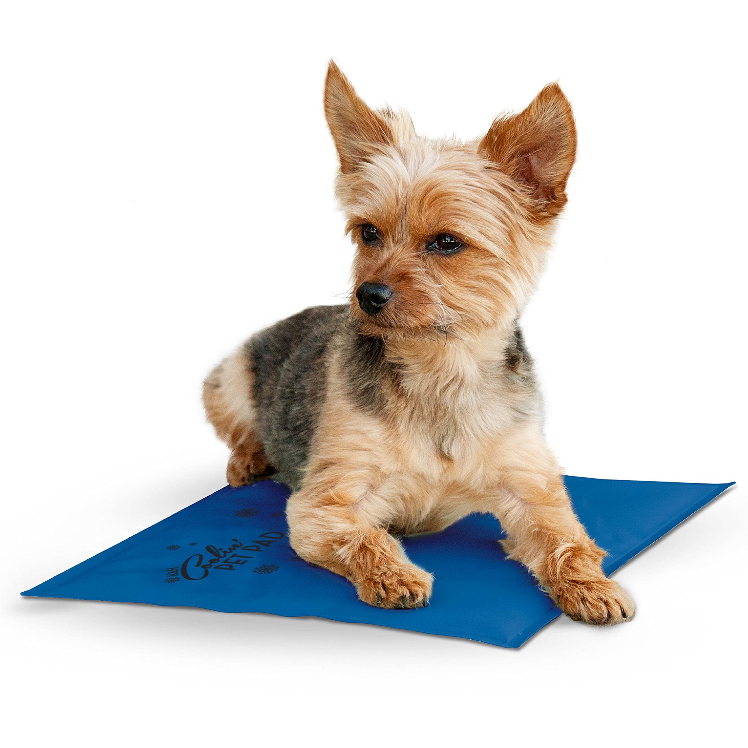 Amazon has pet cooling beds on sale, 72% off for the XL. 17.25 plus tax