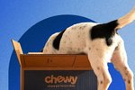 Chewy, $30 gift card with $100 purchase of select pet brands