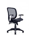 ErgoMax Lumbar Support, Mid-Back Mesh Adjustable Armrests, Home Office Ergonomic Chair, 42 Inch Max Height, Black - $67.2