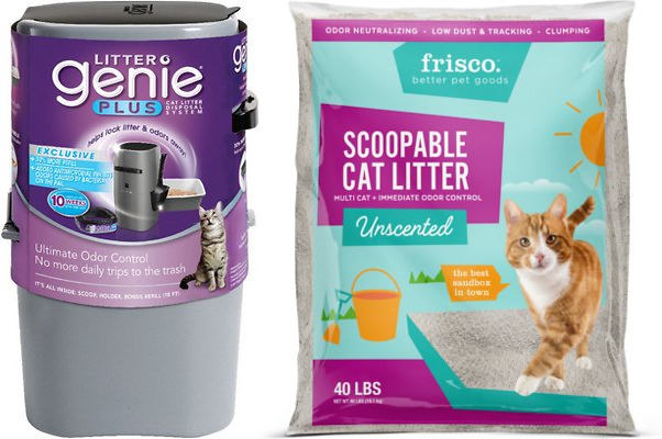 chewy frisco cat litter