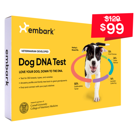 Embark Dog Breed ID Kit, $99 with code PRIMEBREED