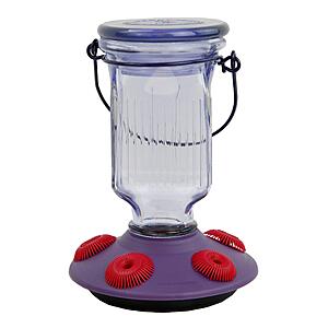 16-Oz Perky-Pet Lavender Field Top-Fill Glass Hummingbird Feeder (Purple) $16.49 + Free Shipping w/ Prime or on $35+