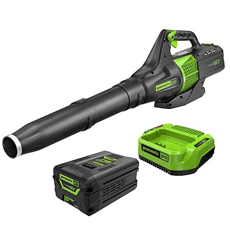 67% Off Greenworks Leaf Blower!