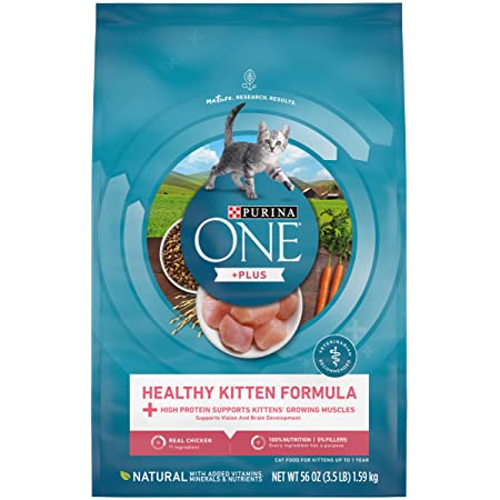 Purina ONE Healthy Kitten Formula Kitten Food 3.5lb~$6.05 With S&S @ Amazon~Free Prime Shipping!