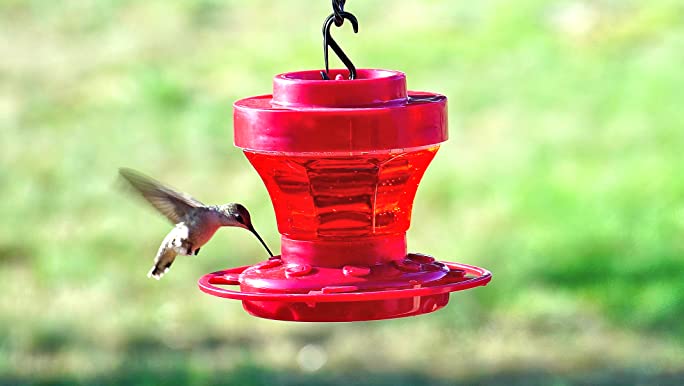 Perky Pet 244SFB Hummingbird Instant Nectar Powder Concentrate - 2lb - Makes 192 oz of Hummingbird Liquid Food Nectar~$6.97 @ Amazon~Free Prime Shipping!