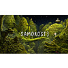 [Epic Games Store] Amnesia: The Bunker &amp;amp; Samorost 3 Free. PC and mobile games. (Oct. 16th - 23rd of 2025)