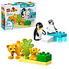 Select LEGO Toys and Gift Sets $7.95 and up After Walmart Cash  Free Ship Walmart+ or $35