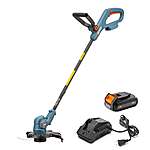 20 Volt Max* 10-Inch Cordless Grass Trimmer (Battery and Charger Included) for $79.99 at Senix