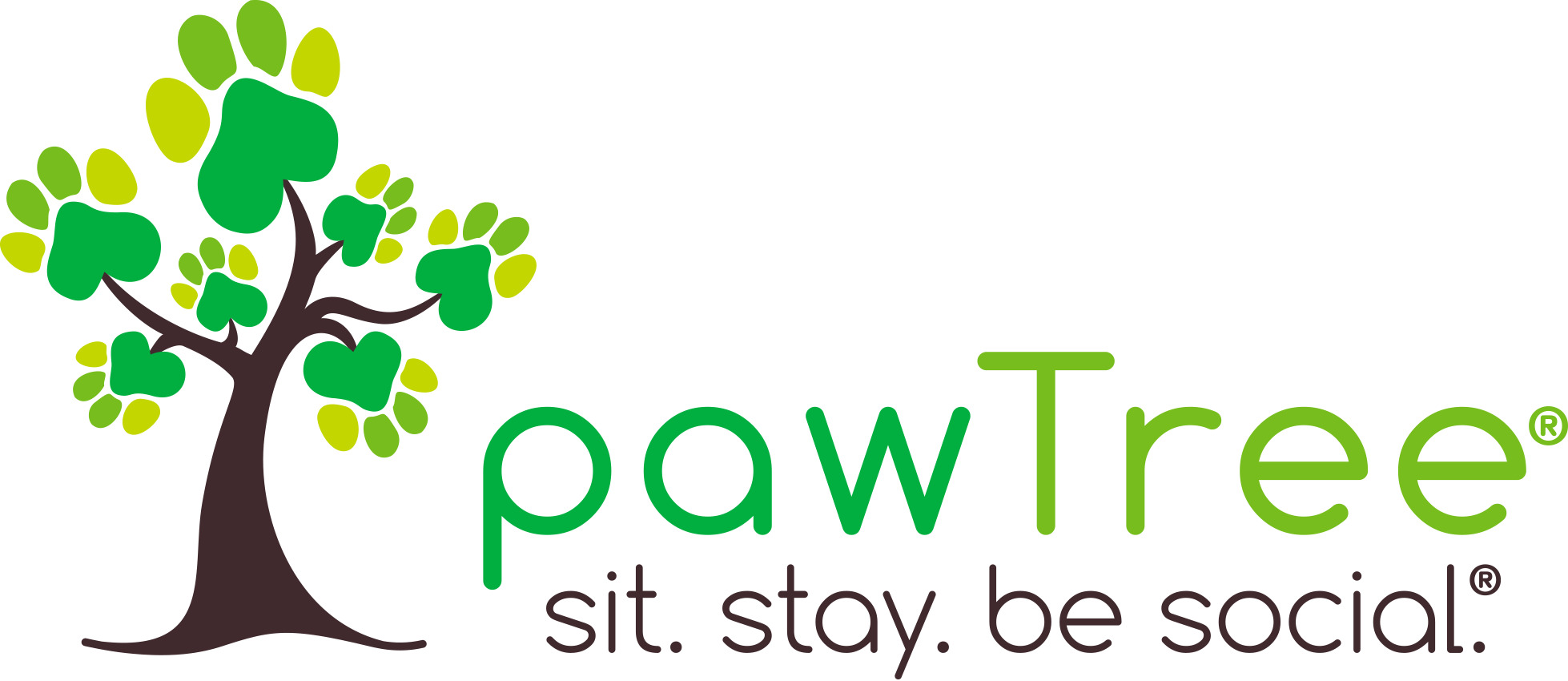 Up to 20% discount on Dog Food and other pet products at Pawtree.com $80