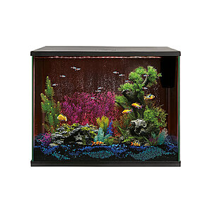110 gallon aquarium new arrivals petsmart