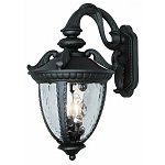 Trans Globe Lighting 5271 BK 20-1/2-Inch 2-Light Outdoor Medium Wall Lantern, Black for $167.73