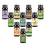10 Pack of 10ML Essential Oils Set for $15.86 + FS