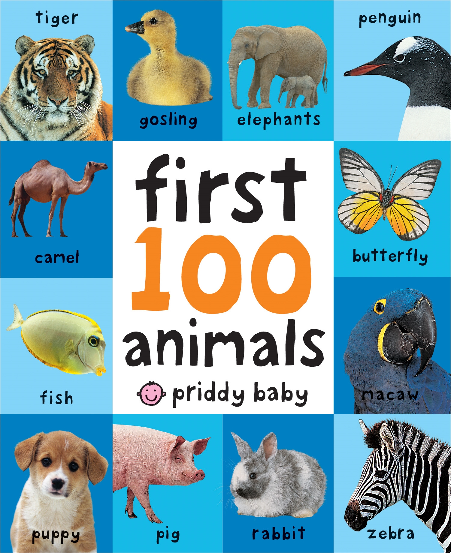 First 100 Animals Board Book Barnes Noble 2 99 Slickdeals Net