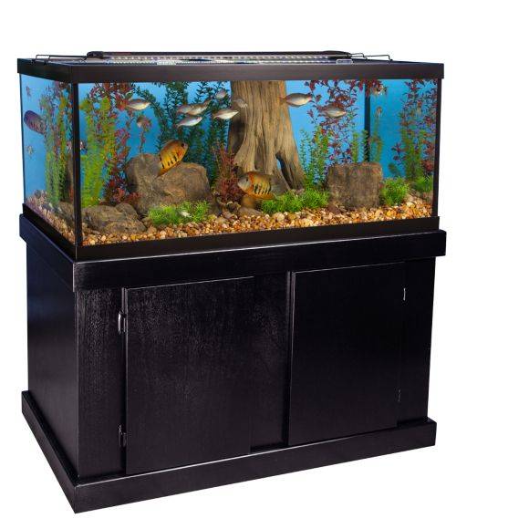 best filter for 75 gallon freshwater aquarium