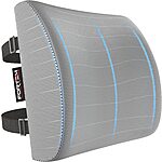 FORTEM Lumbar Support Office Chair, Lumbar Support Pillow for Car, Office Chair Back Support, Lumbar Pillow for Desk Chair, Memory Foam Back Cushion, Washable Cover (Mesh - $14.99
