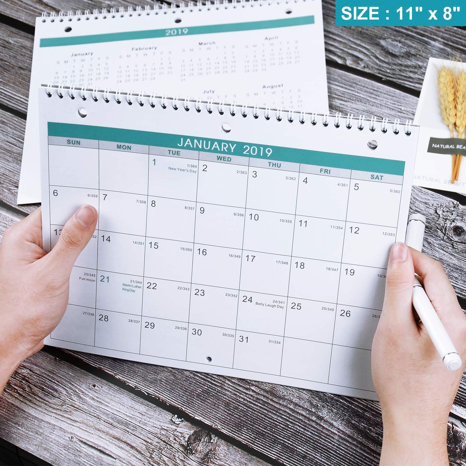 50 Off Lemome 2019 Calendar 2 Pack Monthly Wall Desk Calendar