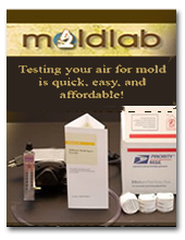 Free Radon Test Kits for California Residents