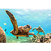 FIRST CLASS Round Trip Nonstop Airfares To/From Los Angeles and Oahu Hawaii $584 Per Person on Hawaiian Airlines (Travel August - January 2026)