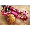 RT Des Moines IA to Kahului Maui Hawaii or Vice Versa $403 Airfares on American or United Airlines BE (Travel August - January 2026)