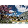 RT San Francisco to Nagoya Japan $598 Airfares on Asiana Airlines BE with 2 Free Checked Bags (Travel November - May 2026)