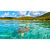 RT Chicago to St Thomas USVI Caribbean or Vice Versa $247-$251 Airfares on American Airlines BE (Travel January - February 2026)