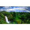 RT Chicago to Kauai (The Garden Isle) Hawaii or Vice Versa $299 Airfares on American Airlines BE (Travel January - February 2026)