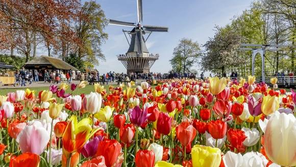 Houston to Amsterdam Netherlands $450 RT Nonstop Airfares on United Airlines BE (Spring Travel February - May 2022)