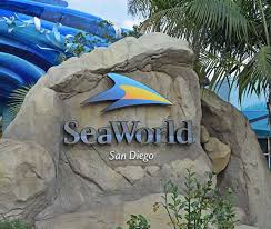 SeaWorld Entertainment Theme Parks - Free Admission for Active US Military & Vets Plus Up To 3 Guests - Use By Date Varies October 31 - December 24, 2021