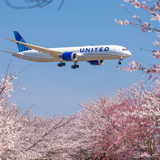 United Airlines Sale to Japan From $825 RT Nonstop or From 25k MileagePlus Points One-Way Plus Taxes - Book by April 7, 2023