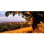 [Solvang CA] Sideways Inn $99 Room Rates Through October 2023 + Waived Resort Fees, Daily Breakfast for 2 and More