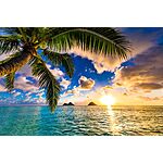 Southwest Vacations Up to $150 Off Hawaii Flight &amp; Hotel Package For Travel Through August 4, 2024 - Book by January 8, 2024