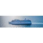 Oceania Cruises Up To 50% Off 2024-2025 Sailings Plus Up To $1400 Shore Excursions Free - Book by February 29, 2024