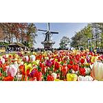 RT Denver to Amsterdam Netherlands $550 Airfares on Icelandair BE (Travel Tulip Season April 2024)