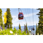 Aspen Snowmass (Mountain Trails For Hiking, etc) $75 Back on $300+ Spend YMMV **Add Offer** Use By August 31, 2025
