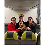 TAP Air Portugal Fly With Your Pet &amp; Get 70% Bonus Miles&amp;Go Points - Book by October 31, 2025