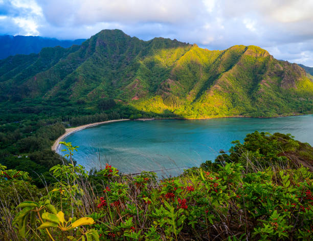 RT Houston to Oahu Hawaii or Vice Versa $394 Airfares on American Airlines BE (Travel August - October 2024)