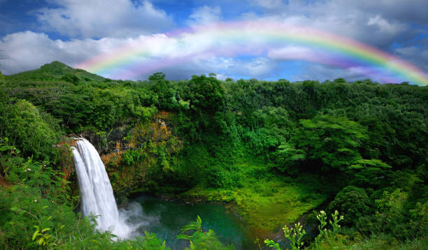 RT San Francisco to Kauai Hawaii or Vice Versa $223 Nonstop Airfares on United Airlines BE (Travel January - April 2025)