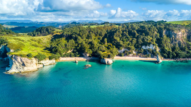 RT Ft Lauderdale to Auckland New Zealand $786 Airfares on American Airlines Main Cabin with Free Checked Bag & Free Change (Travel Late October - November 2024)