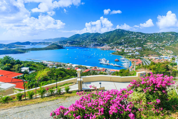 Summer RT New York to St Thomas USVI Caribbean or Vice Versa $231 Nonstop Airfares On Delta or American Airlines BE (Limited Travel June-July 2024)