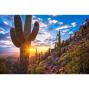 Peak Summer RT New Jersey to Phoenix or Vice Versa $  219 Nonstop Airfares on United Airlines BE (Travel June - August 2024)