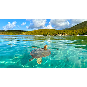 Sandals Resort Semi-Annual Sale Up To 65% Off, Up To $175 Resort Credit, Free Night At Select Resorts, $100 Web Bonus - Book By March 16, 2026