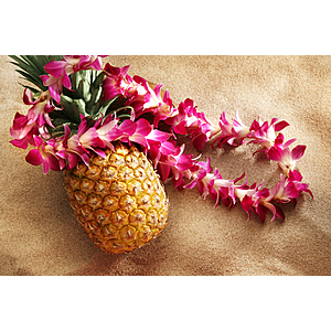 Round Trip San Diego - Kahului Maui Hawaii or Vice Versa $197 Nonstop Airfares on Alaska Airlines BE (Spring Travel April - May 2026)