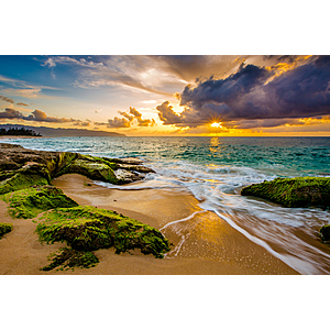 Round Trip Los Angeles - Oahu Hawaii or Vice Versa $197 Nonstop Airfares on American or Hawaiian Airlines BE (Limited Spring Travel March - May 2026)