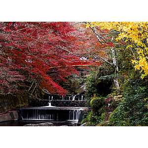 Round Trip San Francisco to Nagoya Japan $665 Airfares on Cathay Pacific with 1 Free Checked Bag (Travel August - November 2026)